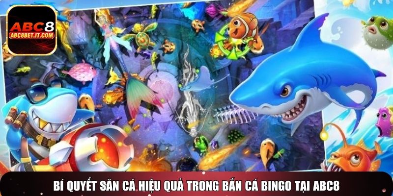 Bí quyết săn cá hiệu quả trong bắn cá Bingo tại ABC8