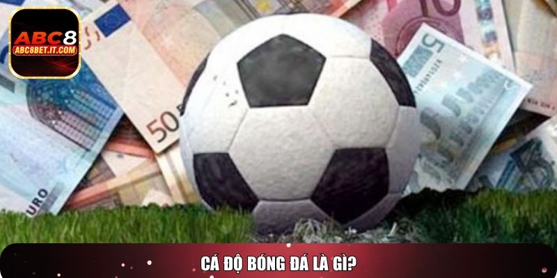 Cá độ bóng đá là gì
