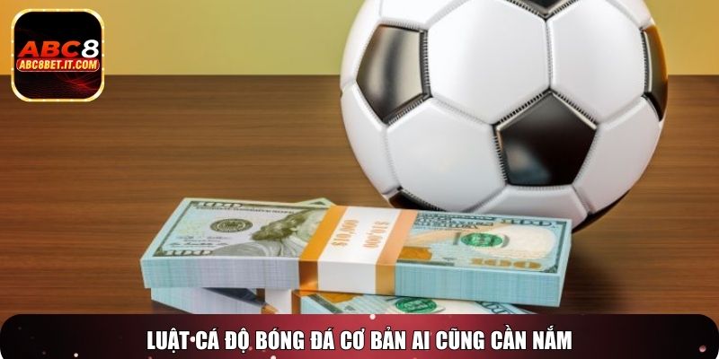 Luật cá độ bóng đá cơ bản ai cũng cần nắm