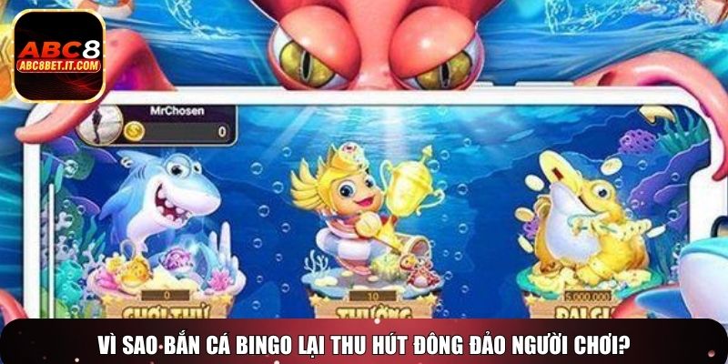 Vì sao bắn cá Bingo lại thu hút đông đảo người chơi?